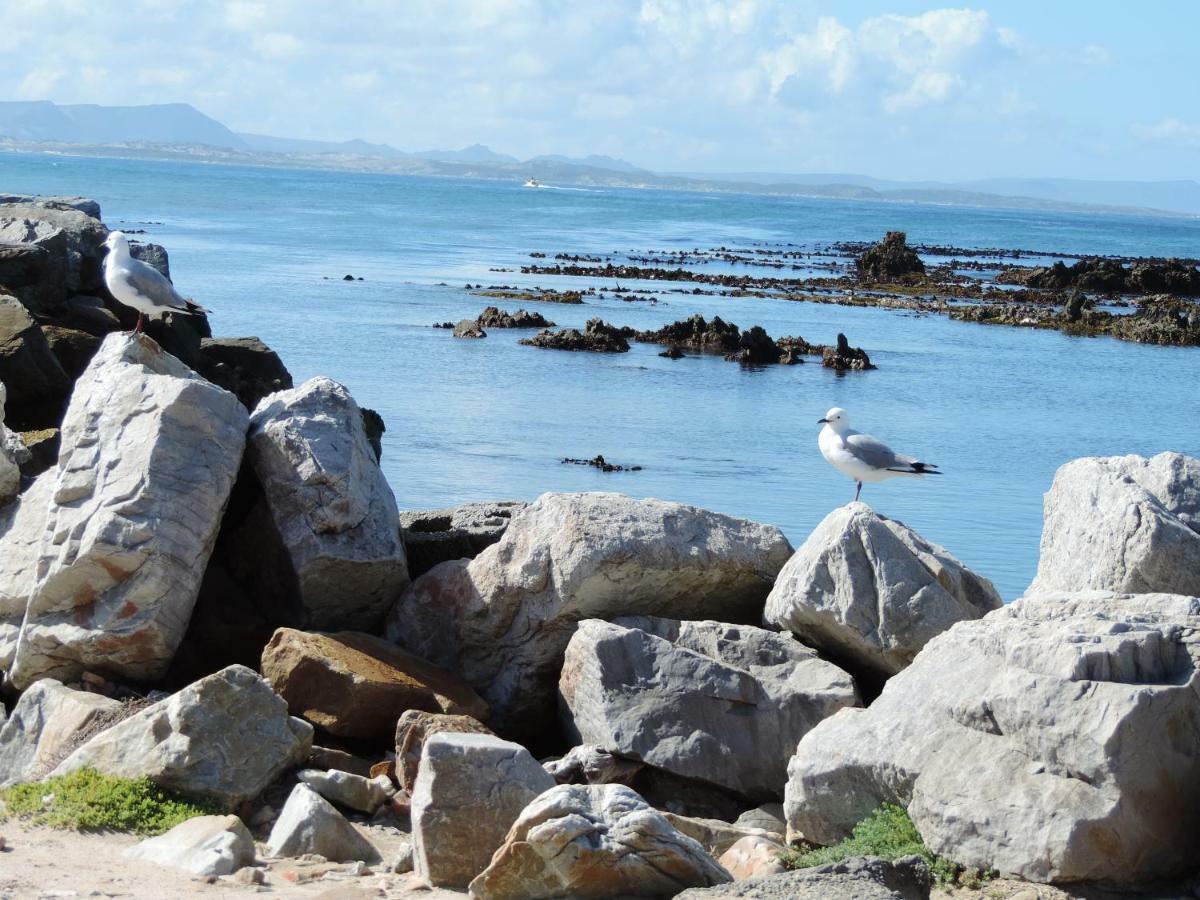 Wave Dancer Bed and Breakfast Gansbaai Esterno foto