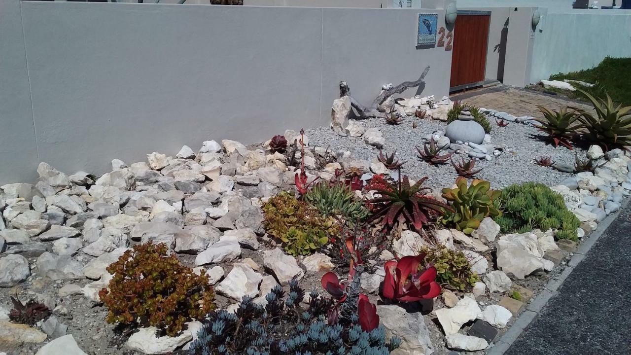 Wave Dancer Bed and Breakfast Gansbaai Esterno foto