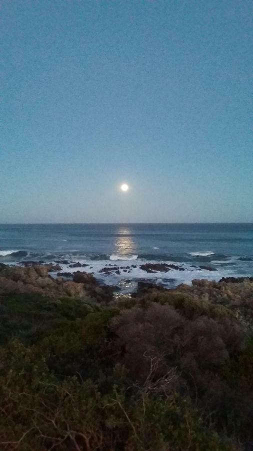 Wave Dancer Bed and Breakfast Gansbaai Esterno foto